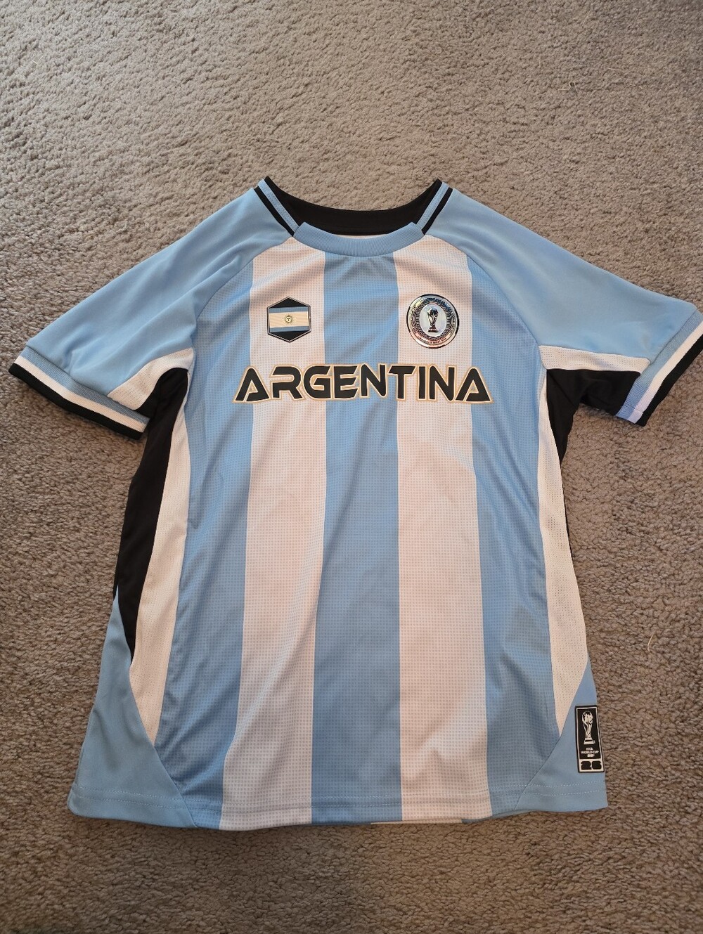 Argentina FIFA Jersey